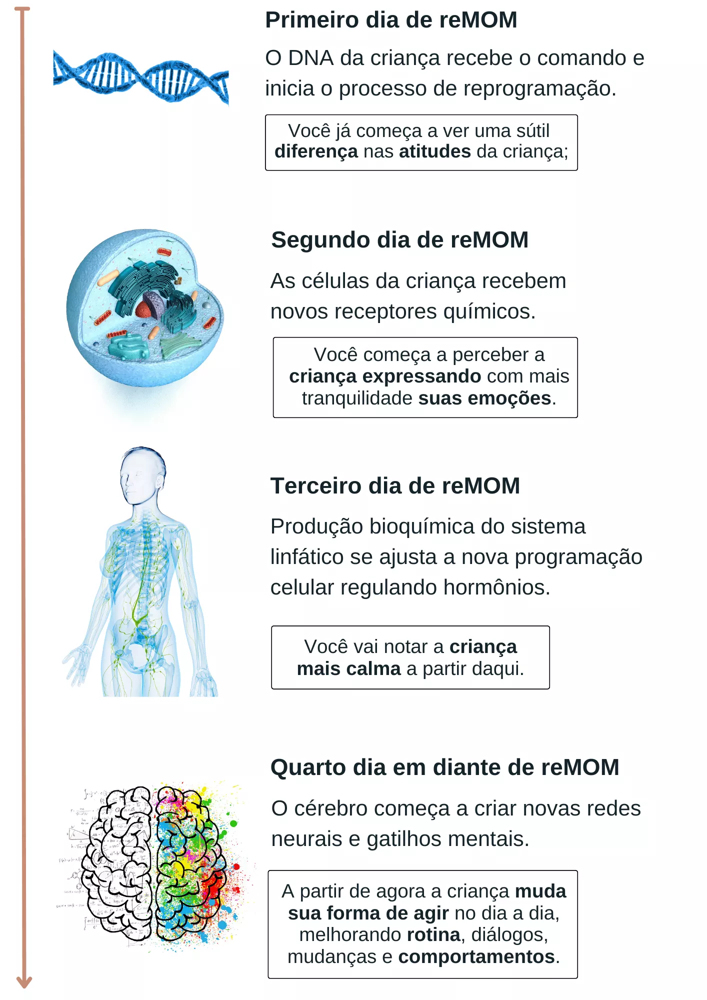 Como o reMOM funciona